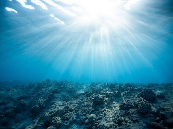 Zmiany klimatu a morza i oceany - najważniejsze wyzwania i zagrożenia dla środowiska morskiego