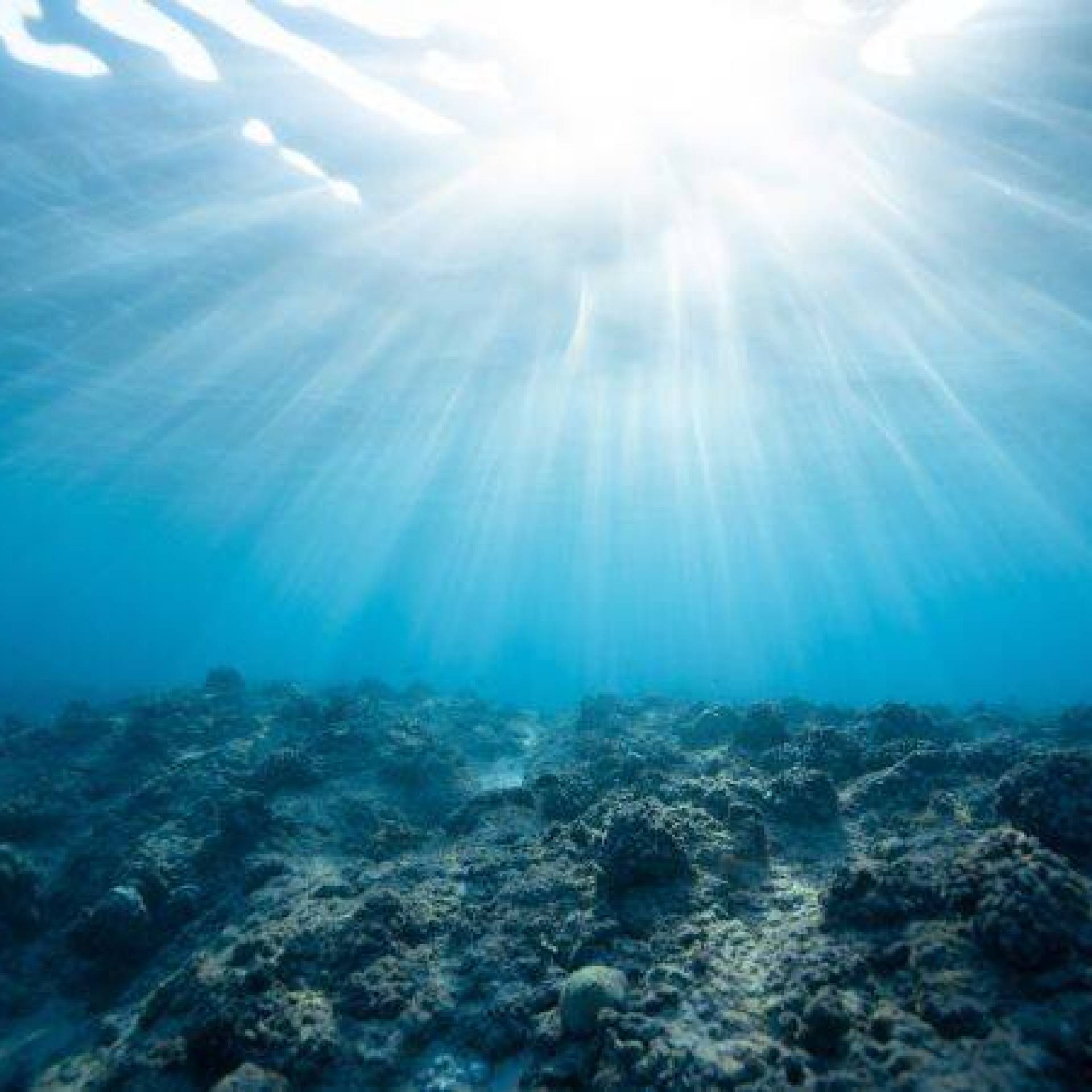 Zmiany klimatu a morza i oceany - najważniejsze wyzwania i zagrożenia dla środowiska morskiego